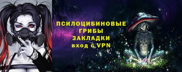 прущий лед Корсаков