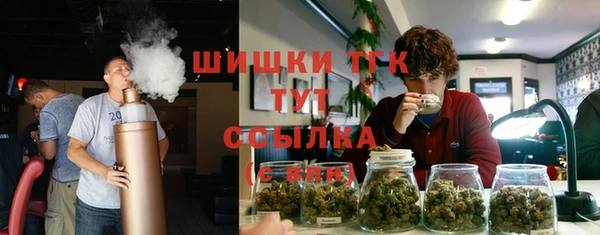 прущий лед Корсаков