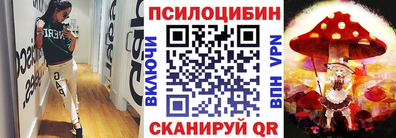 закладка  ОМГ ОМГ ССЫЛКА  Псилоцибиновые грибы GOLDEN TEACHER  Котово 