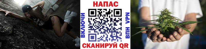 Каннабис ГИДРОПОН  Котово 